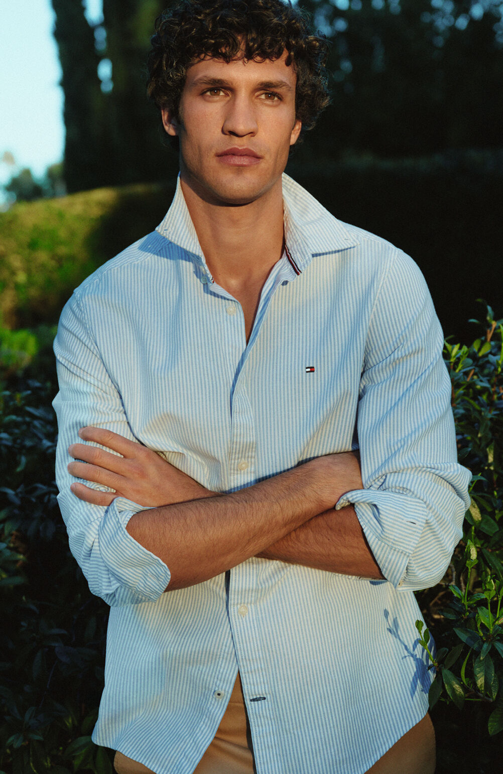 Tommy Hilfiger Shirts